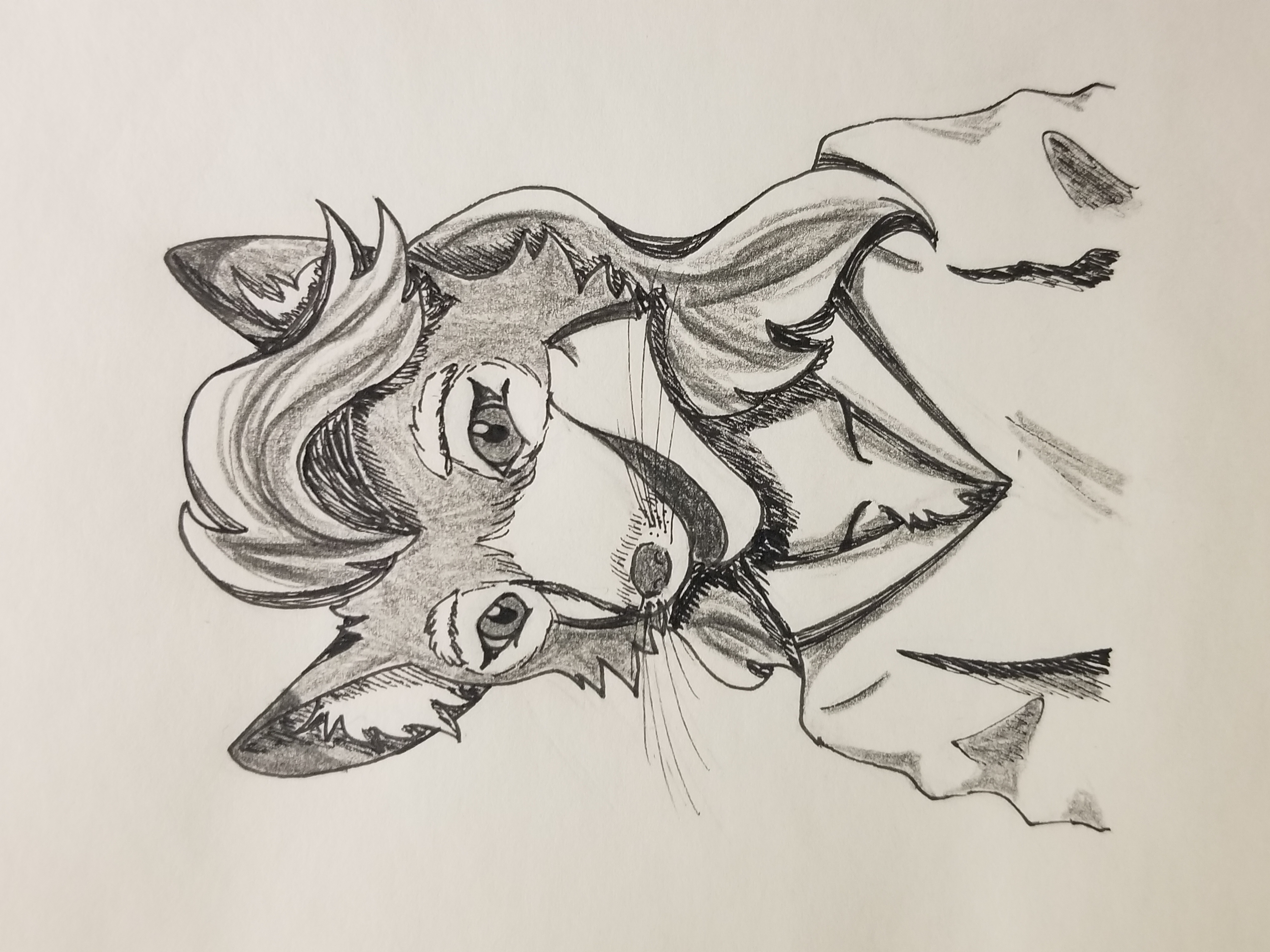 sctlactic_example11of2